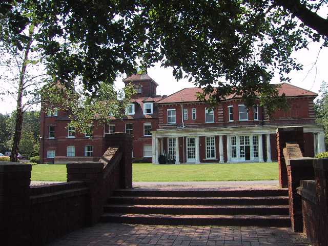 back.jpg (62259 bytes)